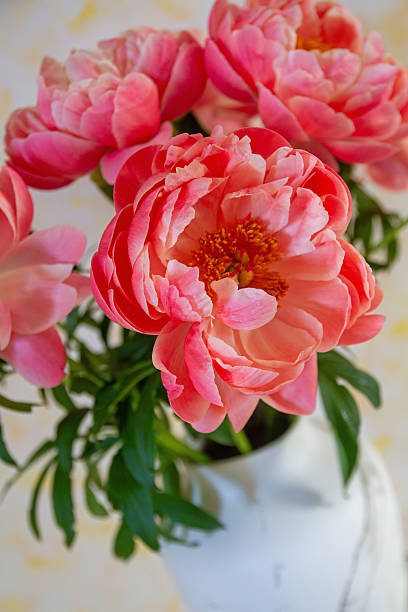 istock Bouquet of Peony Flowers 2213378740