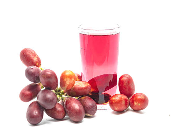 Haematocarpus validus, known as blood fruit, is a tropical vine producing striking red edible fruit.