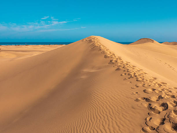 istock Dunes of Maspalomas, Grand Canary, in summer 2213381766