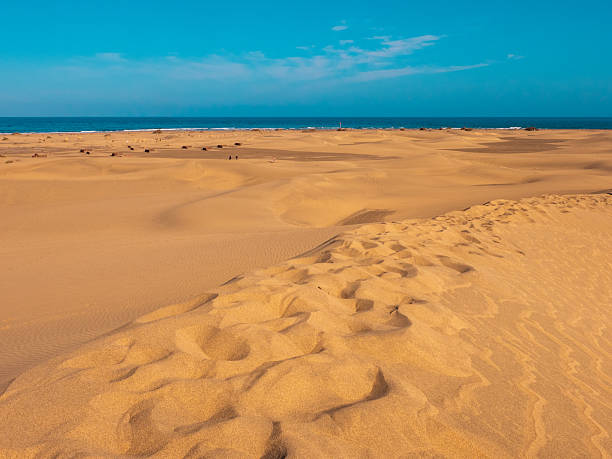 istock Dunes of Maspalomas, Grand Canary, in summer 2213381861
