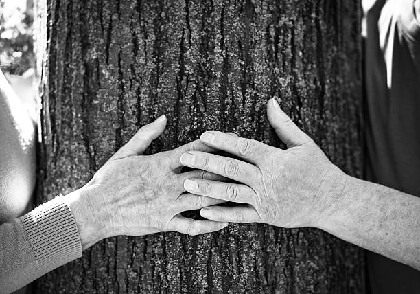 Mom, what is this tree? Mother and son in the park.