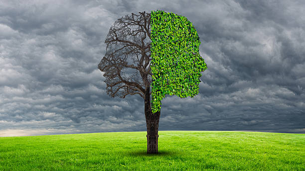 istock Human emotion and mood disorder as a tree shaped as two human faces with one half empty branches and the opposite side full of leaves as a medical metaphor for psychological contrast in feelings. 2213384273