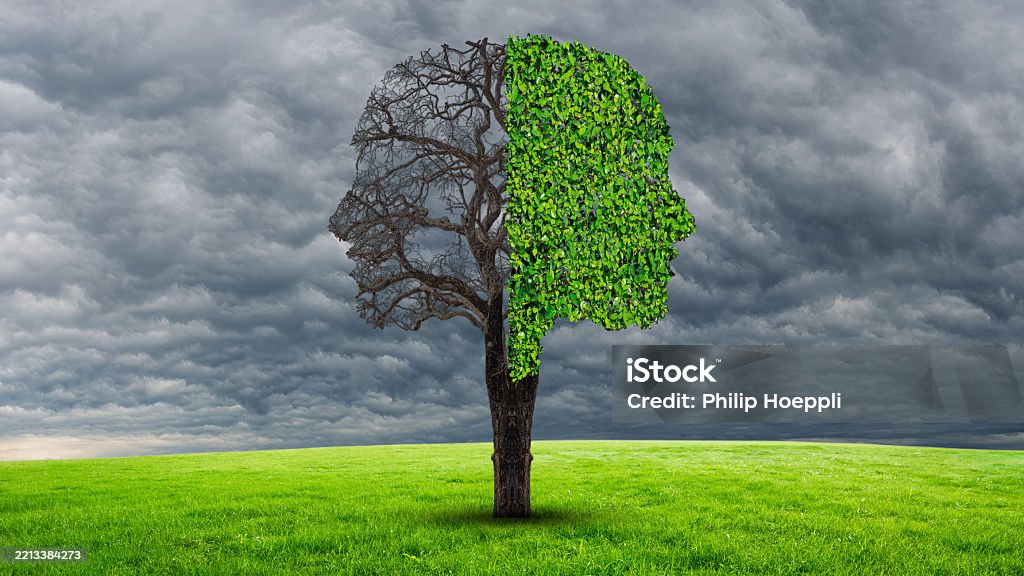 Human Tree Disorder Human Emotion And Mood Disorder As A Tree Shaped As Two Human Faces ...