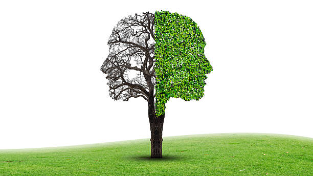 istock Human emotion and mood disorder as a tree shaped as two human faces with one half empty branches and the opposite side full of leaves as a medical metaphor for psychological contrast in feelings. 2213384274