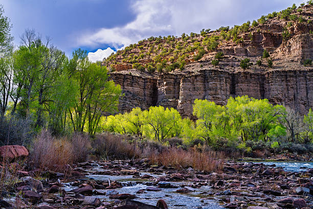 Arches is a national park in eastern Utah with over 2000 sandstone arches.