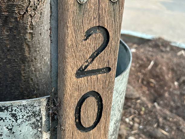 istock Numbers 20 indented onto wooden stake, Black text 2213389312