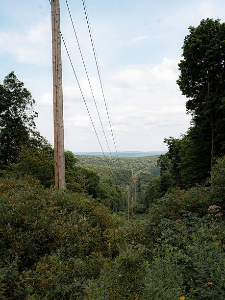 Utility Power Lines Cutting Through Lush Forest Landscape in Orange County, NY