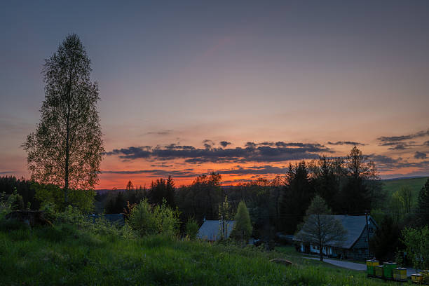 Color sky after sunset evening in spring with nice tree in Cihak CZ 04 30 2025