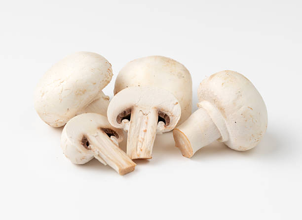 istock Group of mushrooms on a white background 2213390609