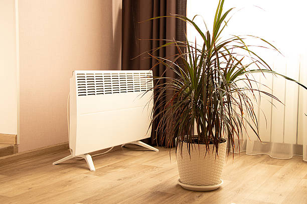 istock Modern interior with electric convector and palm tree in a pot, floor heater, warm house 2213393374