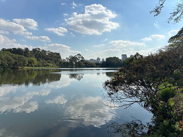 istock Ibirapuera Park landscape 2213395632