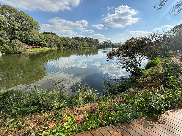 istock Ibirapuera Park landscape 2213395642