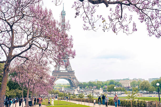 Paris, France - April 26, 2025: Cityscape of Paris with Eiffel Tower