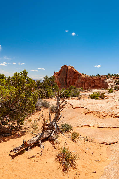 istock Canyonlands National Park, Utah 2213403724