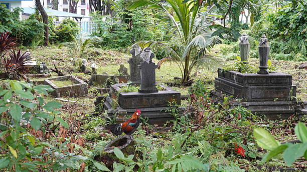 istock Jalan Kubor Muslim cemetery 2213409873