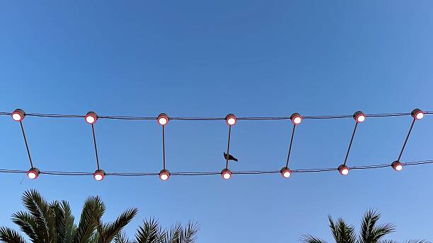 istock A charming bird perched on a wire decorated with vibrant string lights against a serene blue sky 2213411548