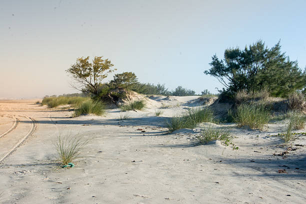 sunset photography on the beach