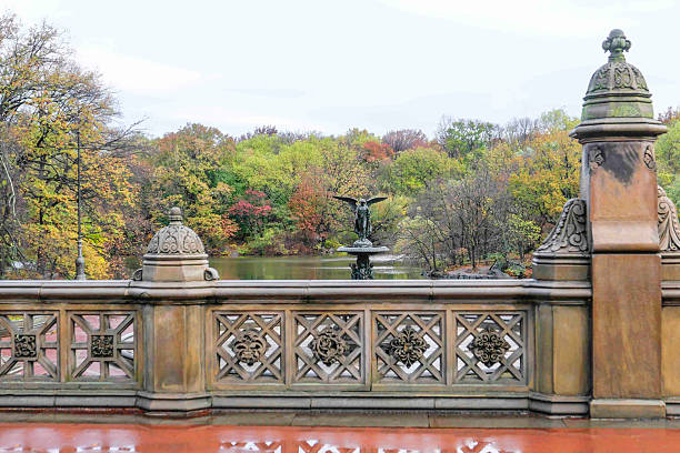 istock Autumn in New York City. 2213416274