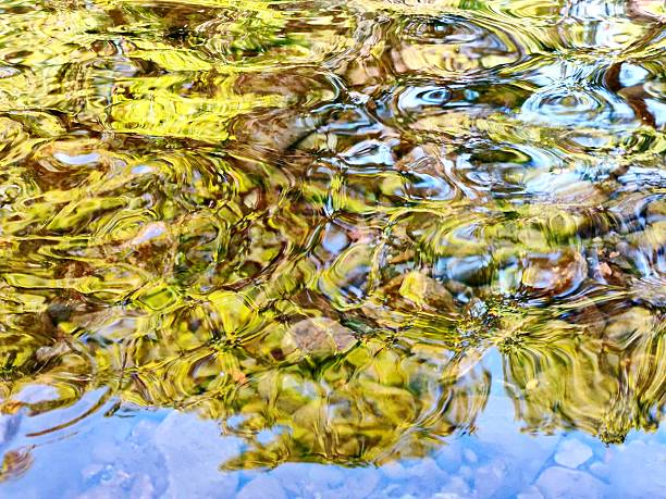 Abstract surface of water picture, with the moving reflections of trees in the ripples.