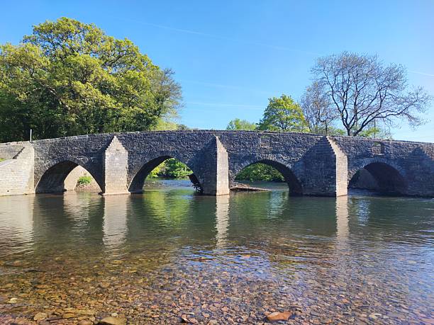 istock A bridge in the middle of a river. 2213417270