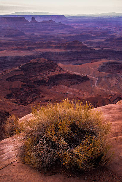 Canyonlands Overlook