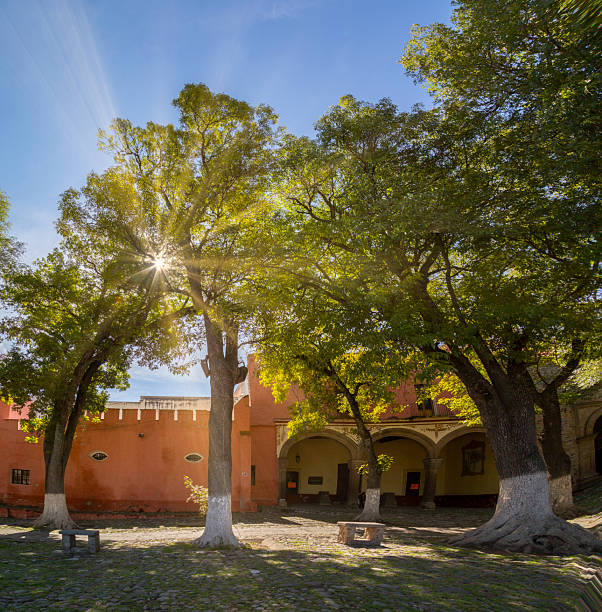 istock Sun shining through trees in a courtyard in tlaxcala, mexico 2213421447