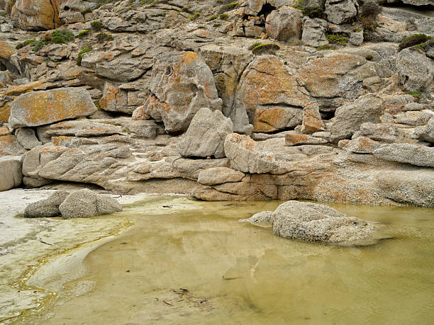 A serene rocky shoreline features tidal pools filled with clear water. The formed shapes and patterns of the stones contrast with the rough texture, creating a unique natural landscape scene.