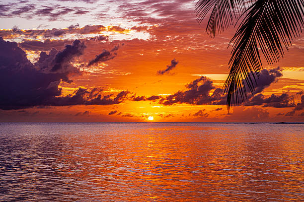 istock Sunset over the tropical ocean with dramatic sky and clouds 2213425386