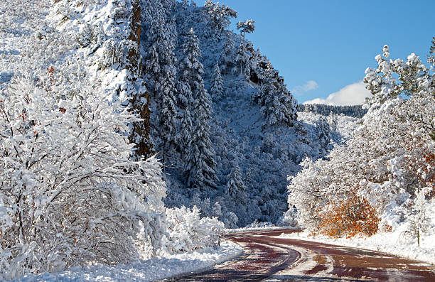 istock Winter Wonderland. 2213429318