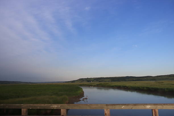 Birds and flowers at the Qu'Appelle River.
