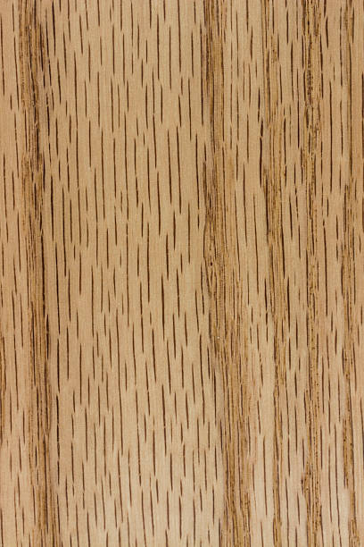 istock texture of wood. wooden board.valuable raw, solid, lumber, Oak. vertical texture. 2213430160