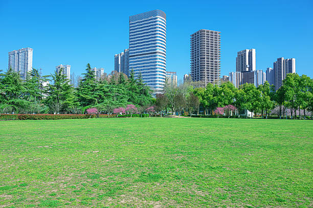 istock Green grass field in modern city park 2213431404