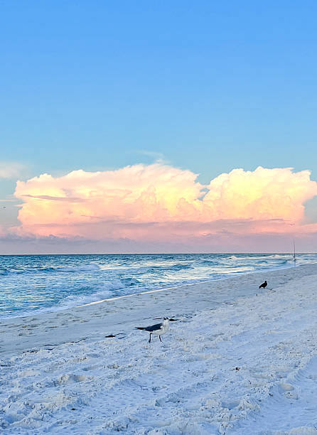 istock Fort Walton Beach - Destin, Florida 2213433493