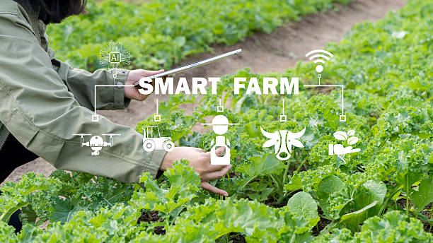 istock armers use agricultural technology in data analysis tablets and image icons. 2213435010