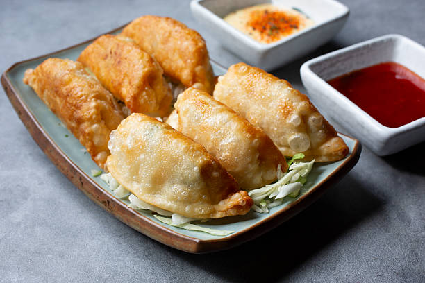 istock plate of gyoza 2213436284