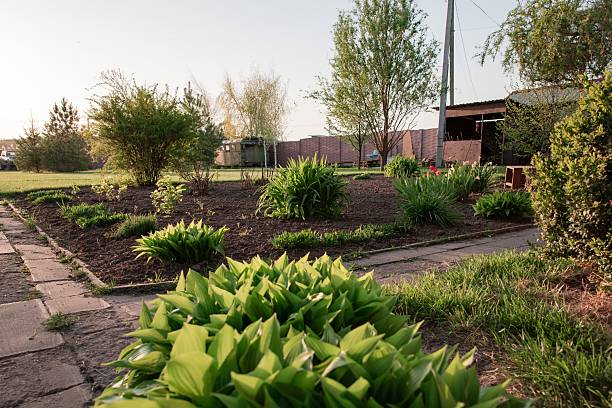 istock Spring Garden with Fresh Green Plants Growing in Soil 2213443448
