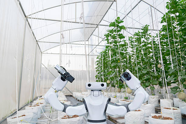 istock Agricultural industry with artificial intelligence robots concept 2213447398