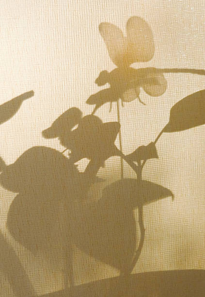 istock Light and shadow sunset on retro fabric texture. Vintage beige textile background. Abstract backdrop with floral pattern, shadow of dragonfly and crossed lines shadows. Wabi sabi style aesthetics 2213447676