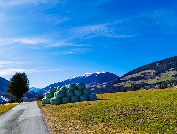 Traditional Alpine hay drying in Leutasch Valley