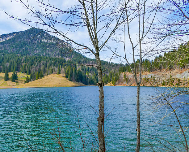 istock Idyllic Mountain Lake Spitzingsee in Bavaria 2213449258