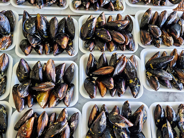Ready to Stuffed mussels