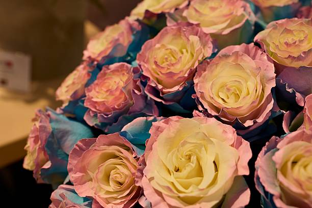 A bouquet of yellow roses