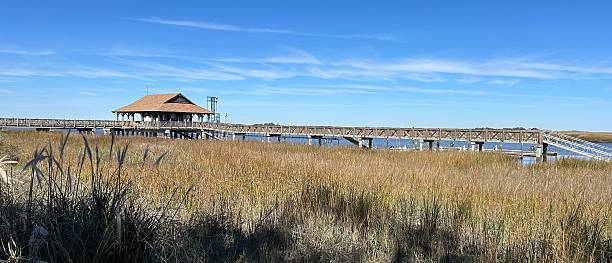 istock Scenic view of marshlands and a dock along the Hampton River 2213466987