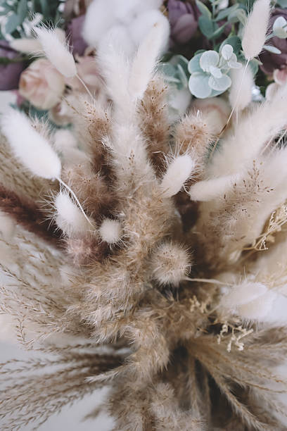 istock Fluffy beige pampas floral home decor 2213467015