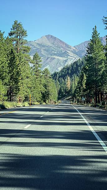 istock Highway through forest towards mountain under blue sky. 2213467083