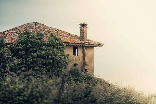 An old rustic house with a tiled roof surrounded by lush greenery under a soft sky.