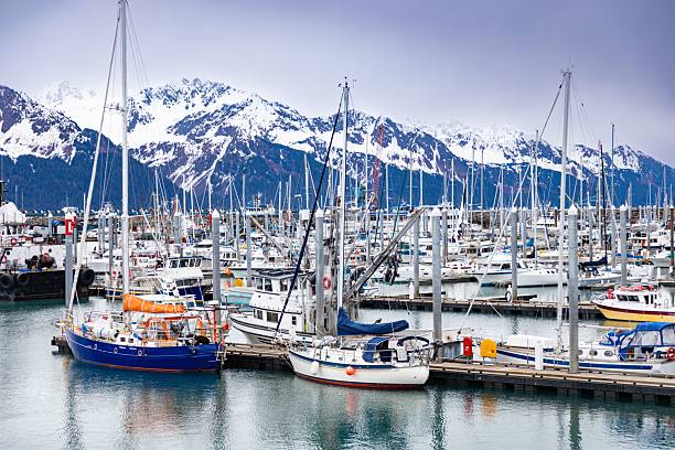 istock Seward Alaska Resurrection Bay Harbor boats 2213468714