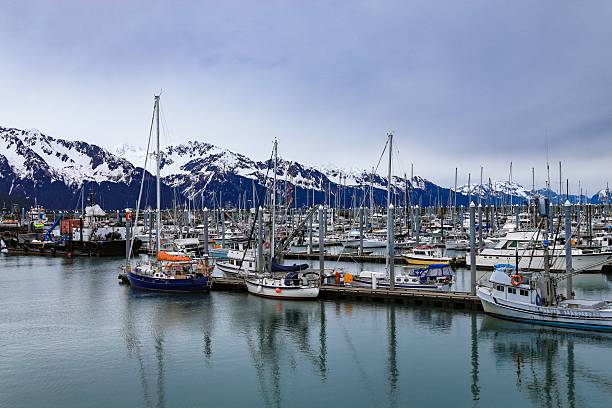 istock Seward Alaska Resurrection Bay Harbor boats 2213468715