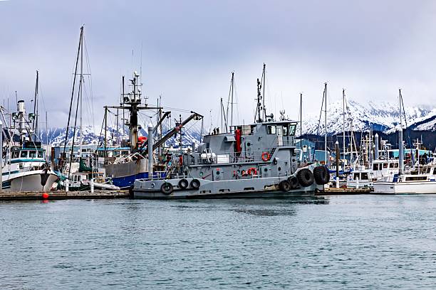 istock Seward Alaska Resurrection Bay Harbor boats 2213468718