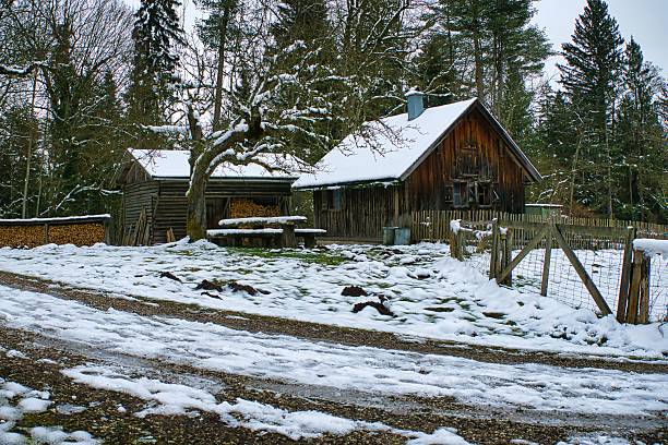 A rustic barn situated in a rural winter landscape with snow-covered ground and a single tree in the foreground